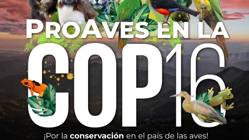 COP16 en Cali: Última Semana Llena de Eventos y Compromisos para la Biodiversidad