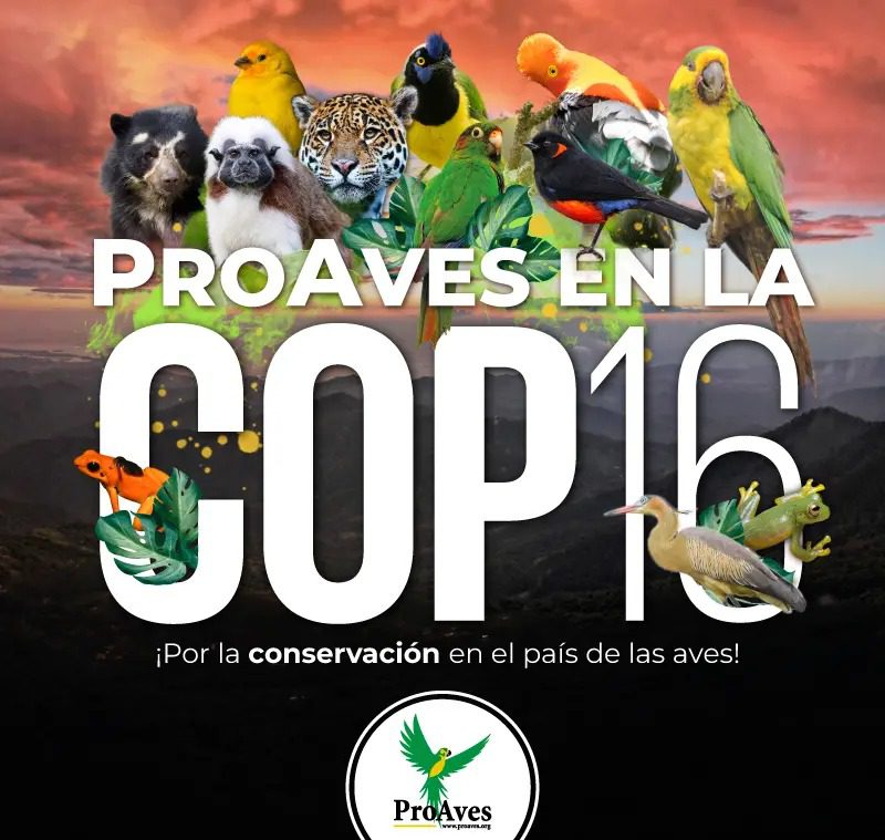 COP16 en Cali: Última Semana Llena de Eventos y Compromisos para la Biodiversidad