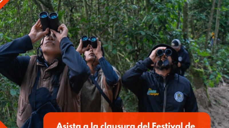 Asista a la clausura del Festival de Aves del Tolima en Purificación