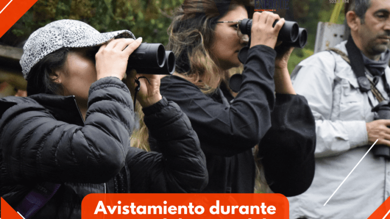 Se cumplieron primeras jornadas de avistamiento durante Festival de Aves del Tolima