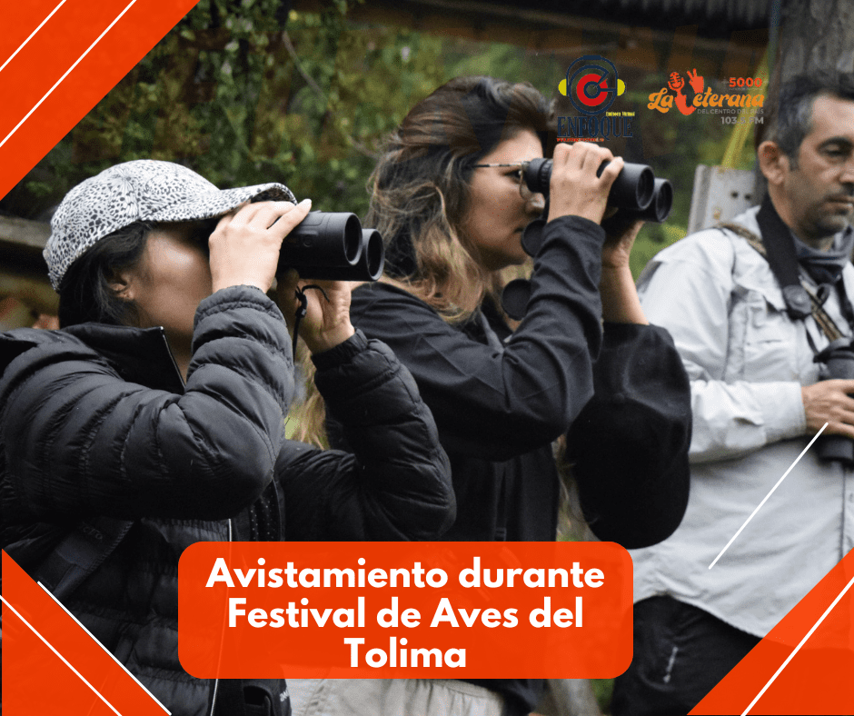 Se cumplieron primeras jornadas de avistamiento durante Festival de Aves del Tolima