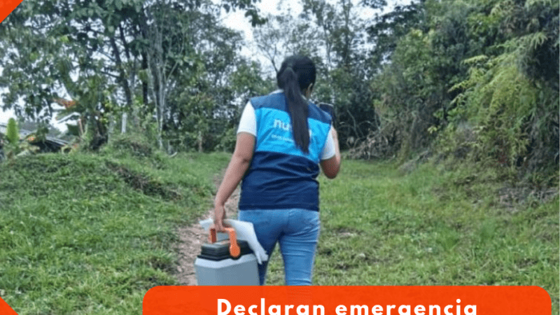 Declaran Emergencia Sanitaria en Tolima por brote de fiebre amarilla