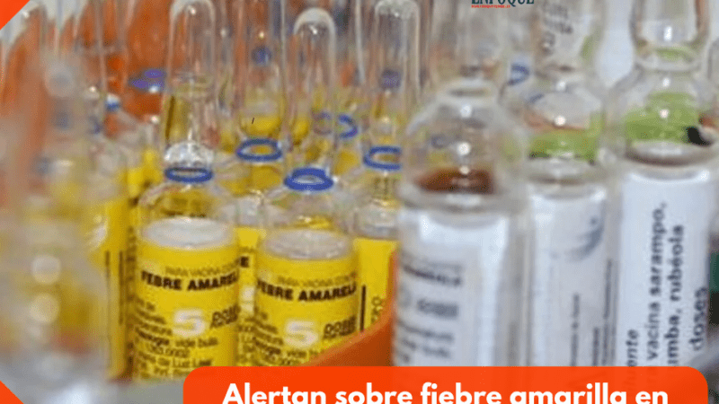 Alertan sobre fiebre amarilla en Ibagué: Llaman a vacunarse en puntos habilitados