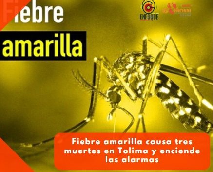 Fiebre amarilla causa tres muertes en Tolima y enciende las alarmas