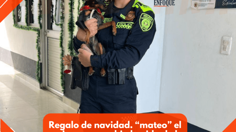 Regalo de navidad. “mateo” el canino que cambio la vida de la patrullera “yaira bermudez”