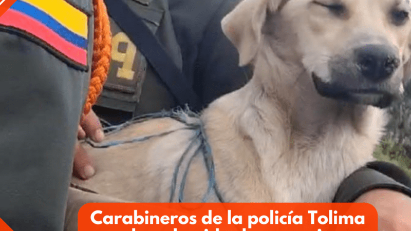 Carabineros de la policía Tolima salvan la vida de un canino abandonada en Líbano.