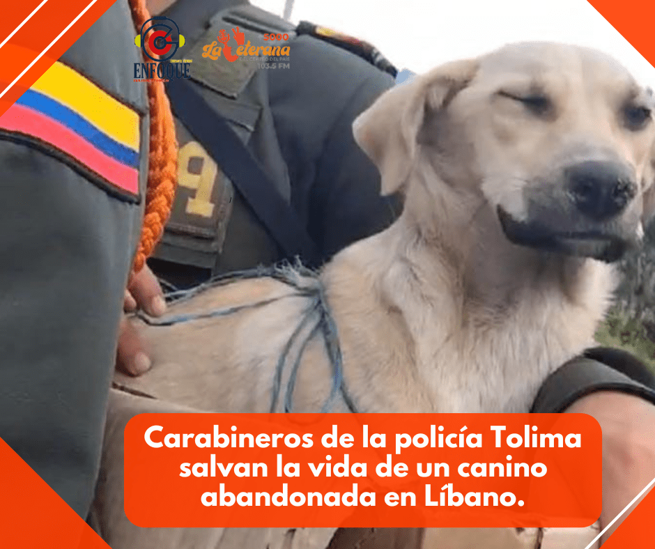 Carabineros de la policía Tolima salvan la vida de un canino abandonada en Líbano.