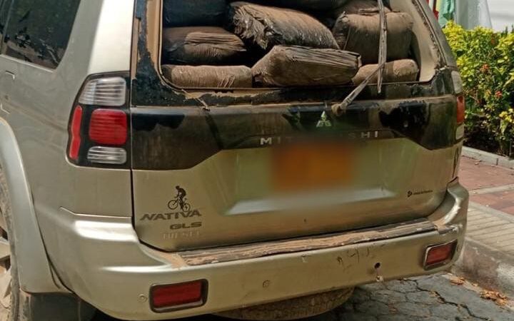 Incautados 415 kilos de marihuana en el Valle de San Juan, Tolima