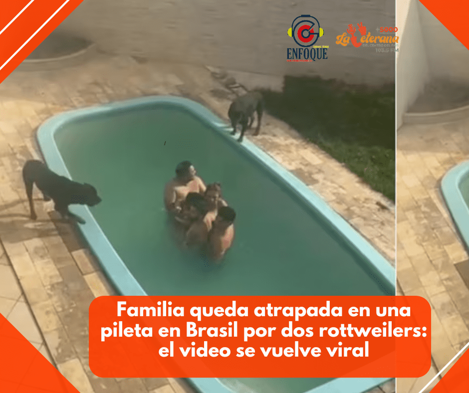 Familia queda atrapada en una pileta en Brasil por dos rottweilers: el video se vuelve viral