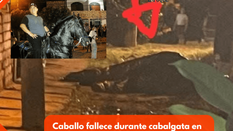 Caballo fallece durante cabalgata en Carmen de Apicalá: Gobernación del Tolima pide informe oficial