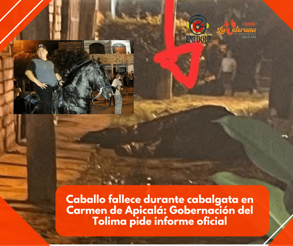 Caballo fallece durante cabalgata en Carmen de Apicalá: Gobernación del Tolima pide informe oficial