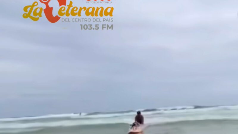 Rosinha, la cerdita surfista que causa sensación en Brasil y el mundo