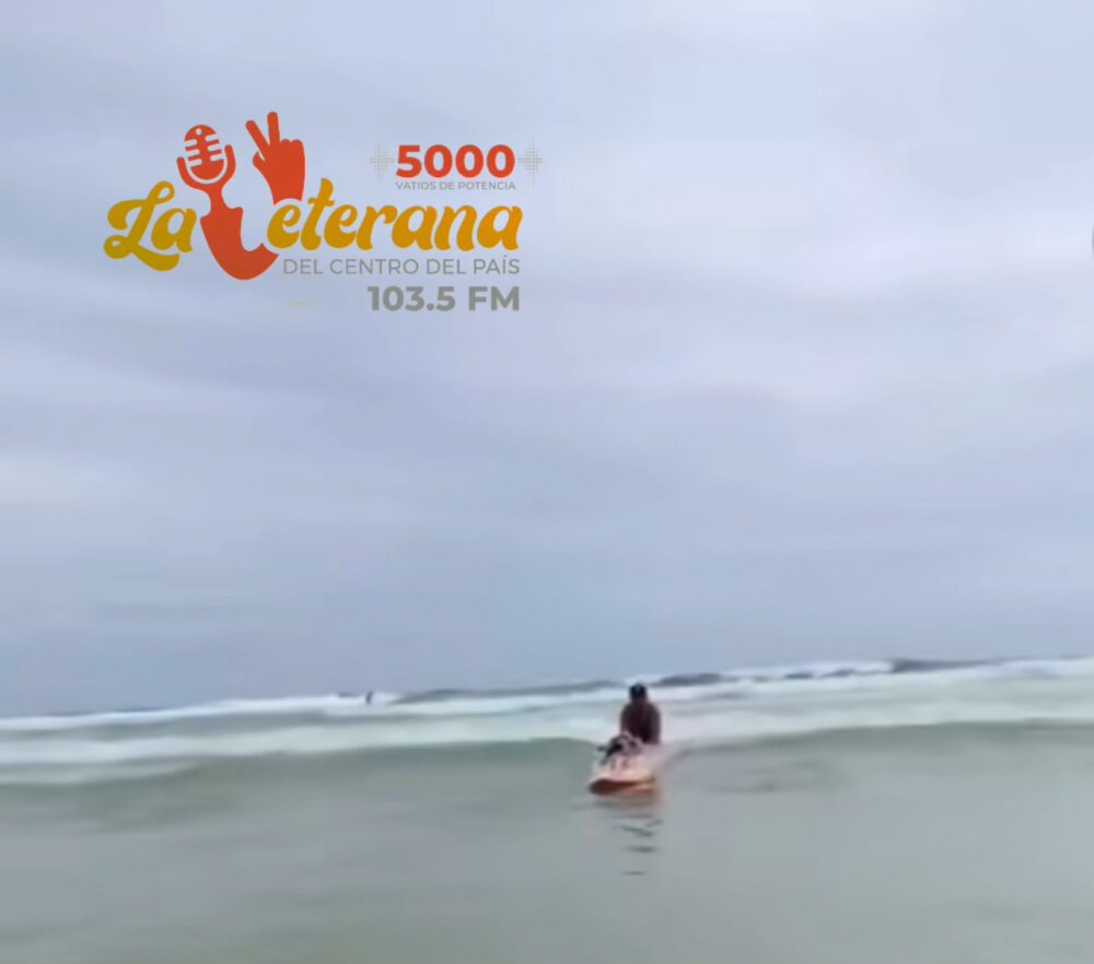 Rosinha, la cerdita surfista que causa sensación en Brasil y el mundo