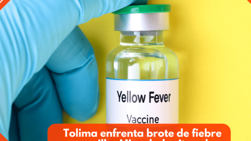 Tolima enfrenta brote de fiebre amarilla: Minsalud reitera la vacunación obligatoria para menores de edad