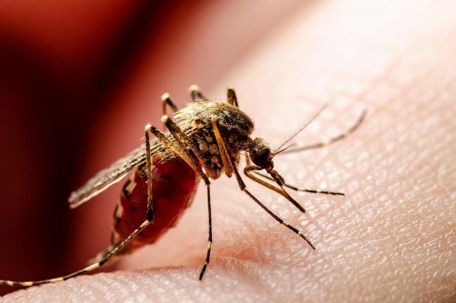 Hospital Alfonso Jaramillo Salazar intensifica vacunación contra la fiebre amarilla en El Líbano, Tolima
