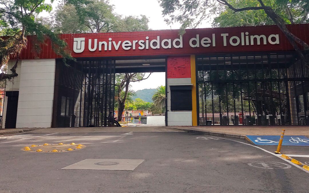 Universidad del Tolima lanza convocatoria de méritos para vincular nuevos docentes de planta en 2026