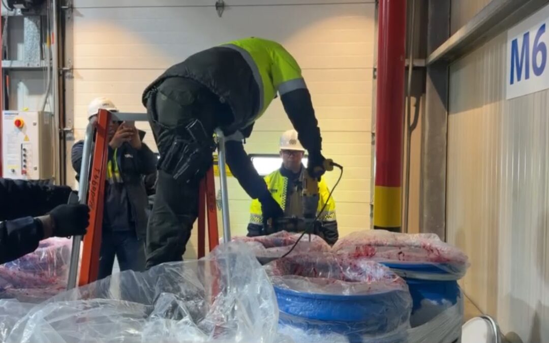 INCAUTACIÓN DE MÁS DE 578 KILOS DE CLORHIDRATO DE COCAÍNA EN CARTAGENA