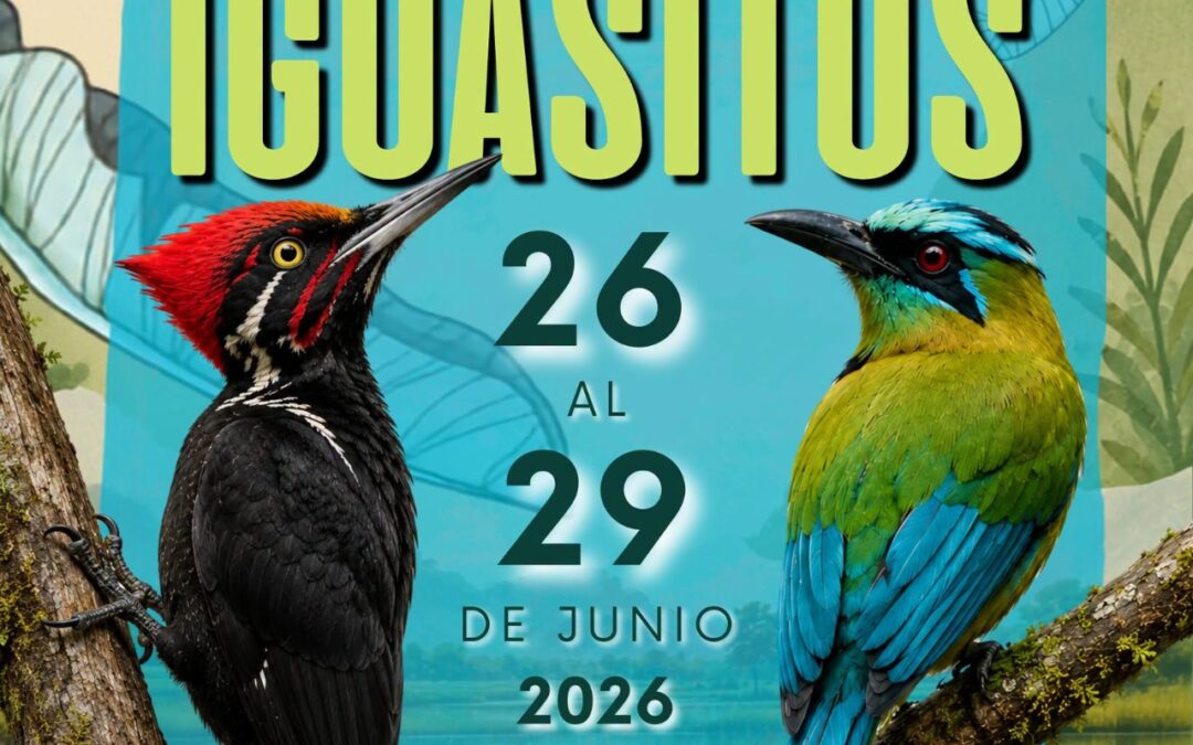 Espera muy pronto la programación oficial del Festival.