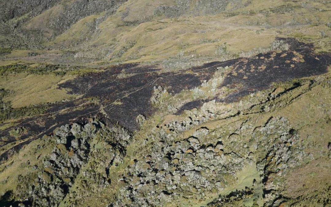 Incendio forestal en zona de páramo de Santa Isabel mantiene en alerta a las autoridades del Tolima