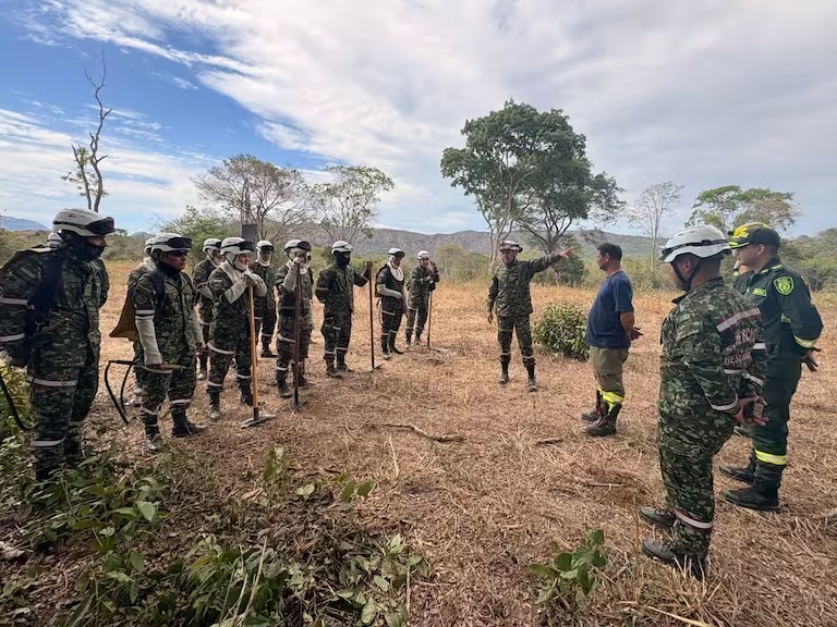 Tolima en alerta por incendios forestales: más de 960 hectáreas han sido consumidas por las llamas