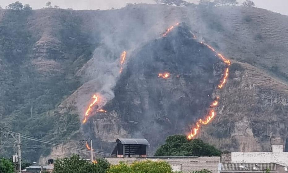 ¡Tolima quedó en cenizas! Incendios dejan más de $134.000 millones en pérdidas y 163.000 animales en riesgo