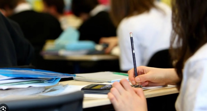 Estás son las instituciones del Tolima que ganan terreno en calidad educativa